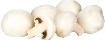 Transgourmet Champignons Angebot