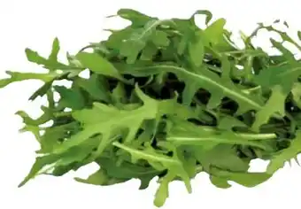 Transgourmet Rucola Angebot