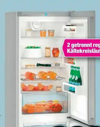 ADEG Kühl-Gefrierkombination CNPef 4813-22 Angebot