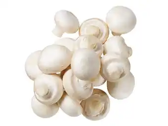 Lidl Champignons weiß Lidl 500 Gramm Angebot