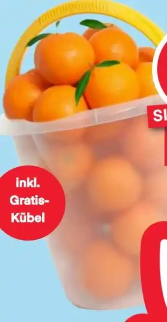 MPreis Orangen Angebot