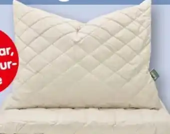 Interspar Polster Lama Angebot