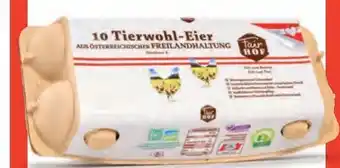 Hofer Eier Angebot