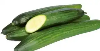 Transgourmet Gurken Angebot