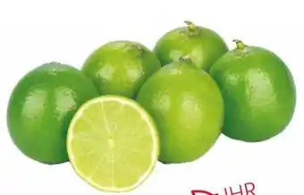 Transgourmet Limetten Angebot