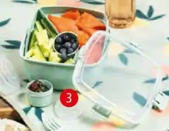Interspar Sistema Renew Salatbox To Go 1.1 Liter Angebot