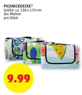 PENNY Picknickdecke 130x170 cm Angebot