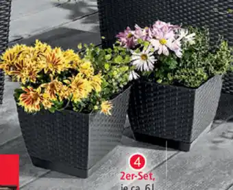 Norma Blumentopf 2er-Set 6 l Angebot