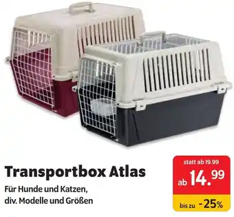 Das Futterhaus Transportbox Atlas Für Hunde und Katzen Angebot