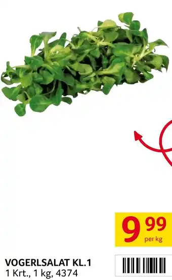Transgourmet VOGERLSALAT KL.1 Angebot