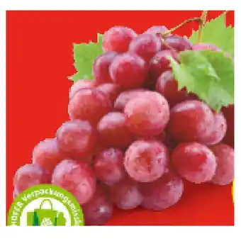 Hofer Hofer Marktplatz Premium Trauben kernlos rot HOFER 1 Kilogramm Angebot