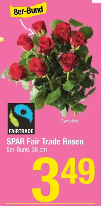 Maximarkt Fair Trade Rose 38cm Angebot
