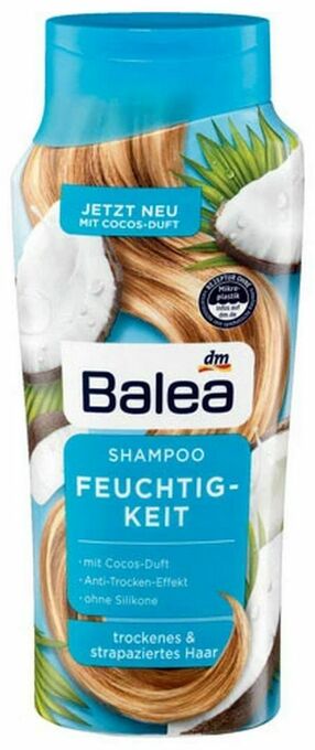 dm Shampoo Angebot