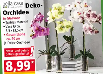 Norma Bella Casa Deko Orchidee Angebot