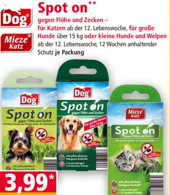 Norma Spot On Gegen Flöhe Und Zecken Für Katzen Angebot