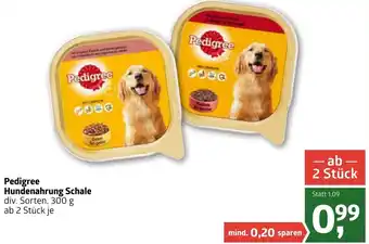 ADEG Pedigree Hundenahrung Schale 300g Angebot