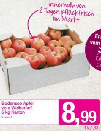 Sutterlüty Bodensee Äpfel Vom Weiherhol 5kg Angebot