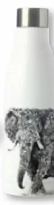 Müller Trinkflasche African Elephant Marini Ferlazzo Angebot