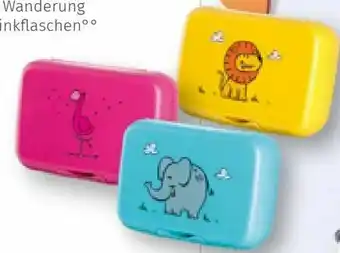 Müller Brotdose Bambini Angebot