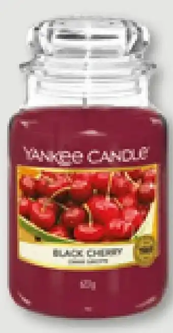 Müller Duftkerze Black Cherry Angebot