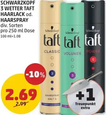 PENNY SCHWARZKOPF 3 WETTER TAFT HAARLACK od. HAARSPRAY Angebot