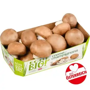 PENNY Echt Bio Cremechampignons Penny 250 Gramm 1 Packung Angebot