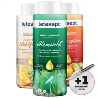 PENNY Tetesept Schaumbäder div. Sorten Penny 500 Milliliter 1 Packung Angebot