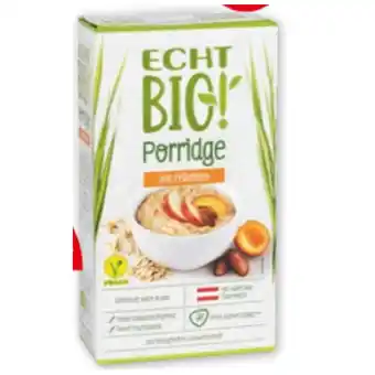 PENNY Echt Bio Porridge Penny 500 Gramm 1 Packung Angebot