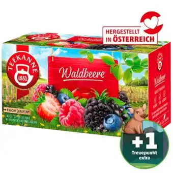 PENNY Teekanne Früchtegarten-Tee div. Sorten Penny 20 Beutel 1 Packung Angebot