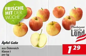 Nah&Frisch Äpfel Gala Angebot