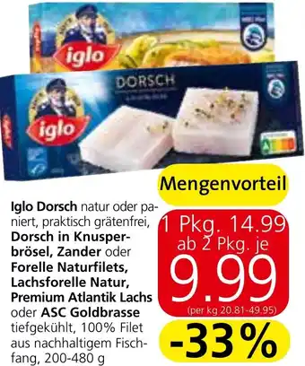 Strasser Markt iglo DORSCH Angebot