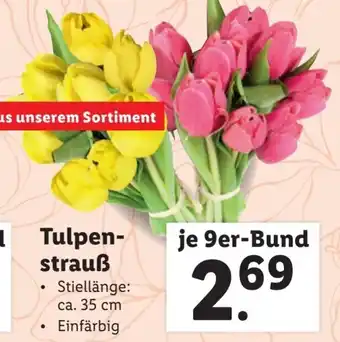 Lidl Tulpen- strauß Angebot