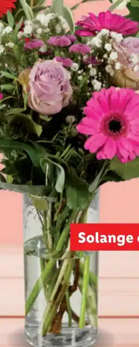 Lidl Valentinsstrauß Premium Angebot