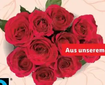 Lidl Rosen Angebot