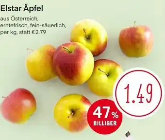 MPreis Elstar Äpfel Angebot