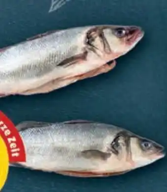 PENNY Wolfsbarsch Angebot