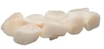 Transgourmet Jakobsmuschelfleisch Angebot