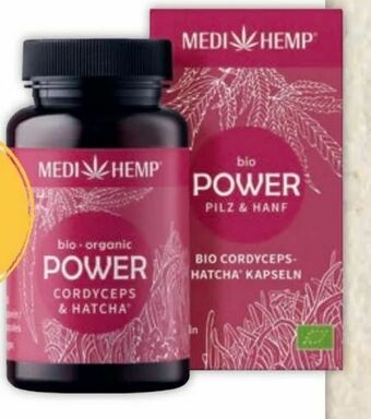 Echte Bio Power Cordyceps