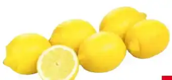 Transgourmet Bio Zitronen Angebot