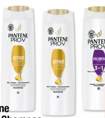 Maximarkt Shampoo Angebot