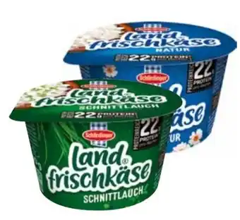 Transgourmet Landfrischkäse Angebot
