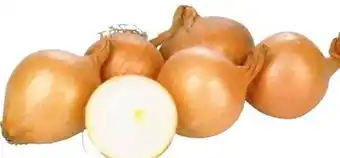 Transgourmet Bio Zwiebel Angebot