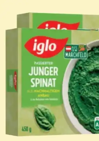 MPreis Spinat Angebot