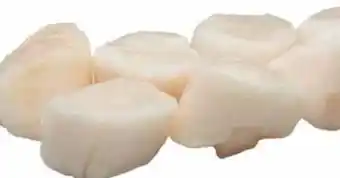 Transgourmet Jakobsmuschelfleisch Angebot