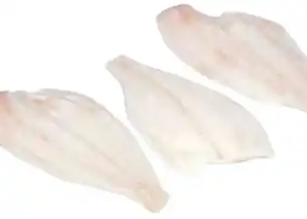 Transgourmet Pazifisches Schollenfilet Natur Angebot