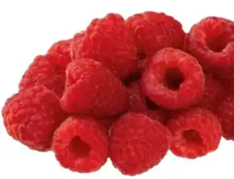 Transgourmet Himbeeren Angebot