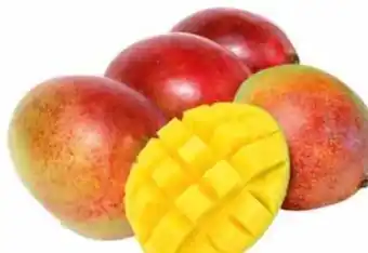 Transgourmet Mango Angebot