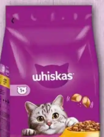 Norma Katzen-Trockenfutter Angebot