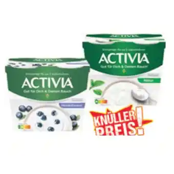 Maximarkt Danone Activia Joghurt versch. Sorten Maximarkt 4 Stück 1 Packung Angebot