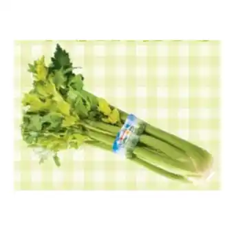 Maximarkt Spar Natur pur Bio-Stangensellerie Maximarkt 1 Stück Angebot
